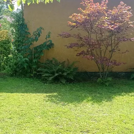 Avec Jardin A 2km De L'ocean ! Daire *