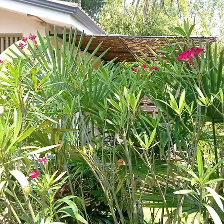 Avec Jardin A 2km De L'ocean ! Daire *